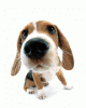anim176220mobildesign.atw.hu_0050.gif